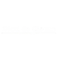 Logotip del Diari de Girona